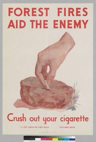 Forest Fires aid the enemy: Cursh out your cigarette