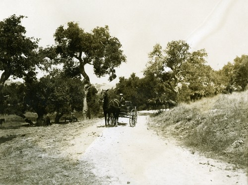 Hope Ranch - Horse and Carriage