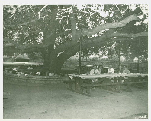View of the Oak Tree picnic area at Arcadia Community Regional Park
