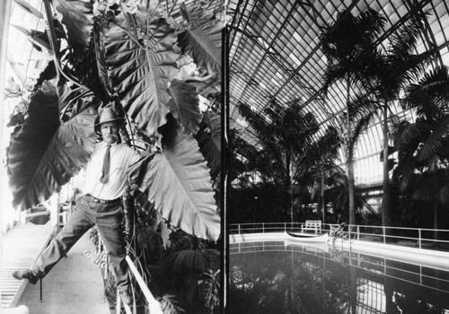 Lincoln Park conservatory, views 3 & 4