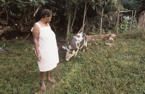 Lehi in village with her pig