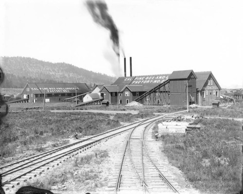 Cal Pine Box and Lumber Mill