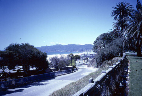 Looking down the access road by the Santa Monica Pier from Palisades Park, May 1984
