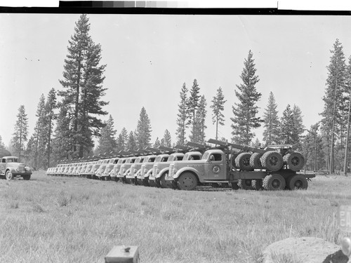 Diesel Logging Trucks at Westwood, Calif