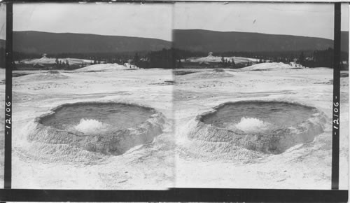 The "Teakettle" boiling spring - W. post the "Sponge" (left) to the Lion and Lioness and distant Castle Geyser Cones. Sponge in background. OK