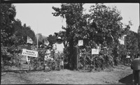 Entrance to Santa Cruz County Fair 1918