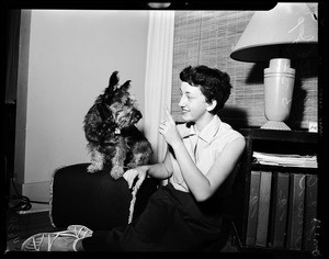 Dog "Burglar", 1952