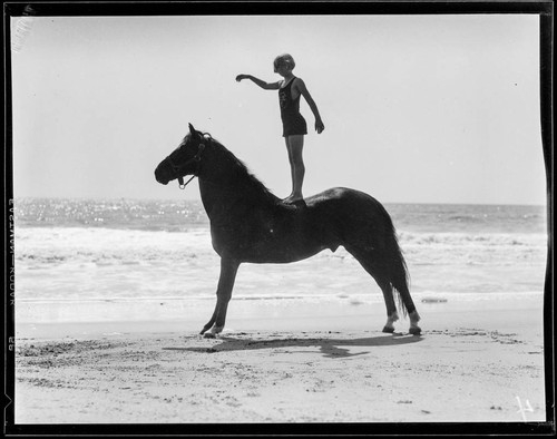 Girl standing on a horse on the beach, Santa Monica