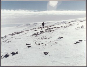 Lone man walking on a snowy slope, Antarctica