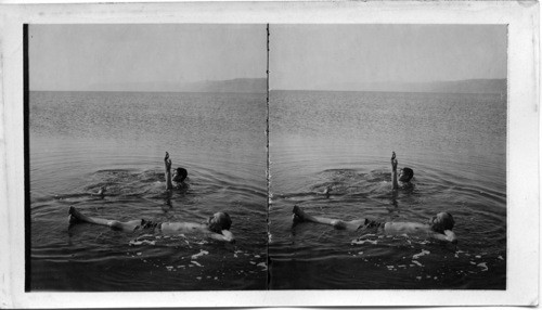 Swimmers Floating in the Dead Sea showing the Buayancy of it’s waters Palestine