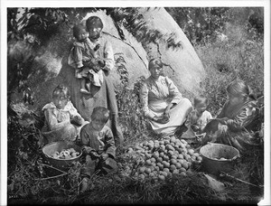 Group of Yokut Indian women and children preparing peaches, Tule River Reservation near Porterville, ca.1900