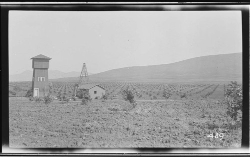 An orchard and pumping plant in Tulare County