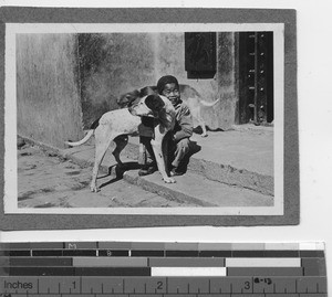 A boy with two dogs at Yanjiang, China, 1925