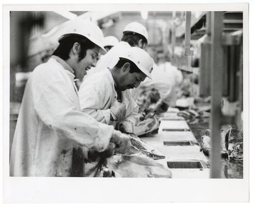 Workers at a Lucky meat processing plant, San Francisco, March 27, 1973