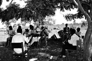 Tanzania. An orchestra is practising outside in the shade of a big tree