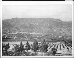 Panoramic view of Pasadena looking north from Monk Hill, showing Alta Dena and Mount Lowe in the background, ca.1910