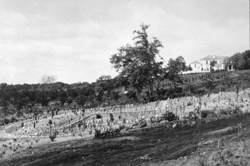 Huntington residence from a distance, 1914