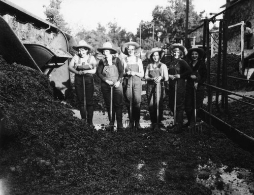 Women working in Gausti vineyard, view 6