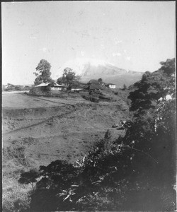 View to Mt. Kilimanjaro, Tanzania, ca.1901-1910
