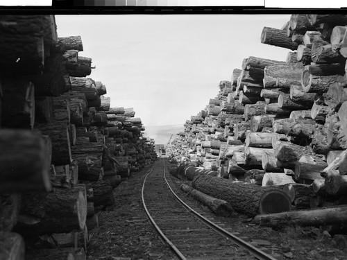 Logs decked at Susanville, Calif