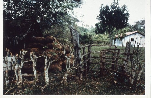 Living fence and stile