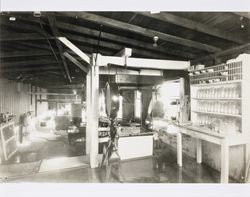 Unidentified man standing in the receiving room of the Petaluma Cooperative Creamery, about 1930