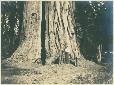 John Muir (left) probably with Sierra Club group at Sequoia National Park, California