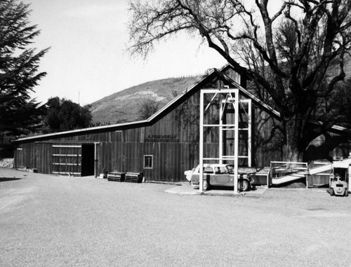 Pedroncelli Winery, Geyserville, California