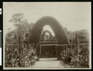 Hotel Del Monte garden maze, Monterey, ca.1910