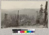A typical farm in the redwood cut-over region, on top of ridge where clearing is least difficult. View shows Big River Valley in background, looking north from highway. August 1921