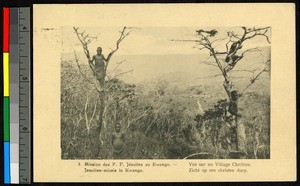 Young men climb trees on a hilltop overlooking a village, Congo, ca.1920-1940