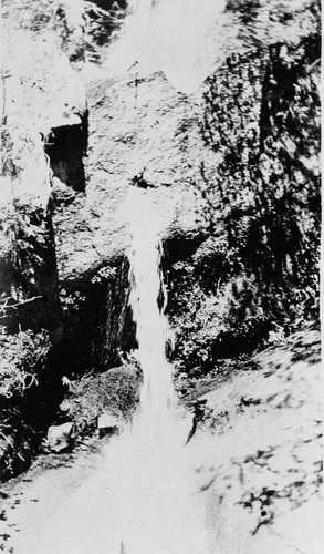 Waterfall in Feather River Canyon