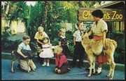 Children's Zoo: Animal Color Series
