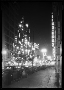Christmas trees etc, Southern California, 1930