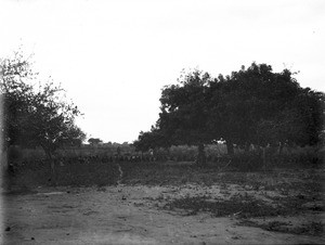 Sorcery, Makulane, Mozambique, ca. 1901-1907