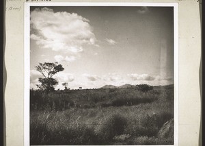 Savanna landscape south of Nwereme