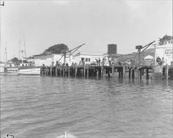 Fishing off a pier in Bodega Bay, California, 1958