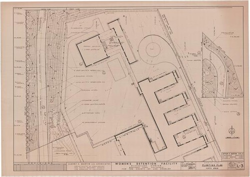 Women's Detention Facility, Biscailuz Center, planting plan, north areas, sheet no. L-3