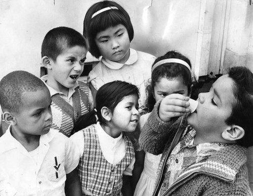 Polio oral vaccine