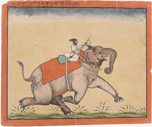 A man on an elephant