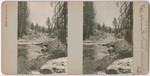 Yosemite Creek, Hetch Hetchy Trail