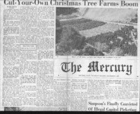 Cut-your-own Christmas tree farms boom