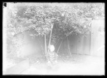 Child seated outside under a tree