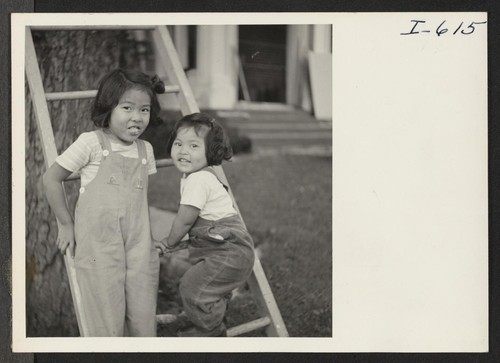 Phyllis Okubo, age 2, and Joan Okubo, age 4, daughters of Rokuro and Ayako Okubo, are shown playing on the