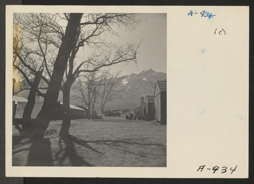 A view of Manzanar Relocation Center in the late afternoon. Mount Whitney, the highest mountain in the continental United States, is seen in the background. Photographer: Stewart, Francis Manzanar, California