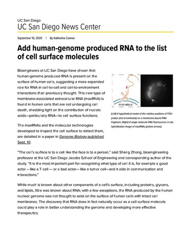 Add human-genome produced RNA to the list of cell surface molecules