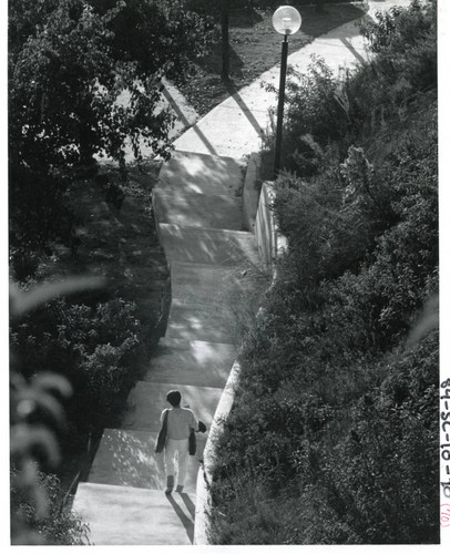 Student descending stairs to parking lot, 1984