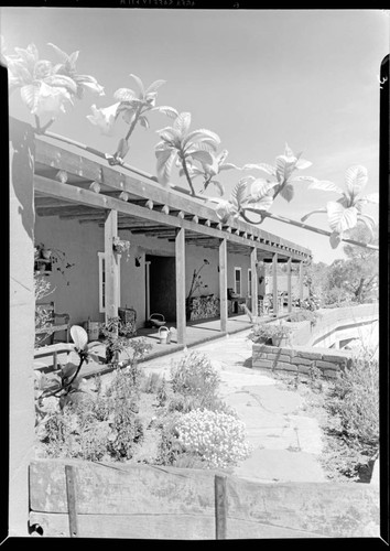 Griffith, Corinne [Mr. and Mrs. George Marshall], residence. Veranda and Garden