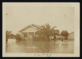 Compton flood