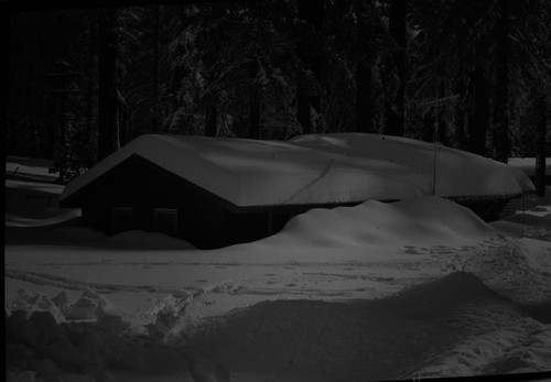 Record Heavy Snows, Critical snow conditions at Grant Grove after storm of February 4, 5, 6